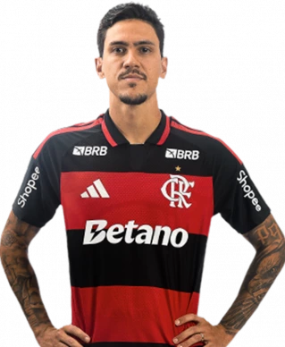 Pedro Guilherme Abreu dos Santos